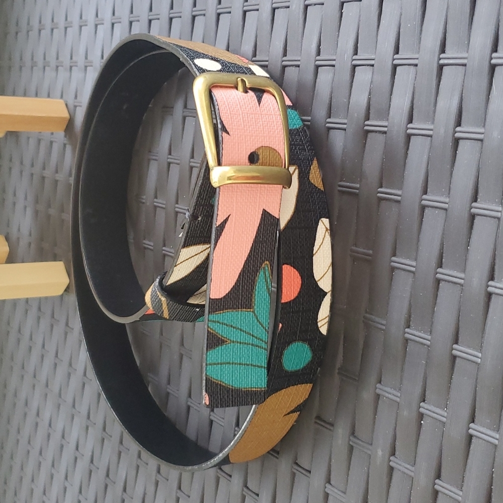 Fossil Belt
